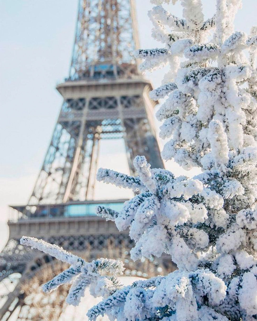 https://www.instagram.com/p/CosM2njIvtK/[SHARP-CAPTION]BEST WINTER COMBO 🌲 
Is your skin starting to feel the negative effects of winter ?
 Discover how to fix it with our two-steps evening routine:
❄️ The Precious Serum - enriched with essential oils
❄️ The Night Regenerating Mask - formulated with innovative natural ingredients
Say hi to a nourished and regenerated skin!
Don’t hesitate if you have further questions in comments.

-

BEST WINTER COMBO 🌲 
Parce que votre peau commence à ressentir les effets 
